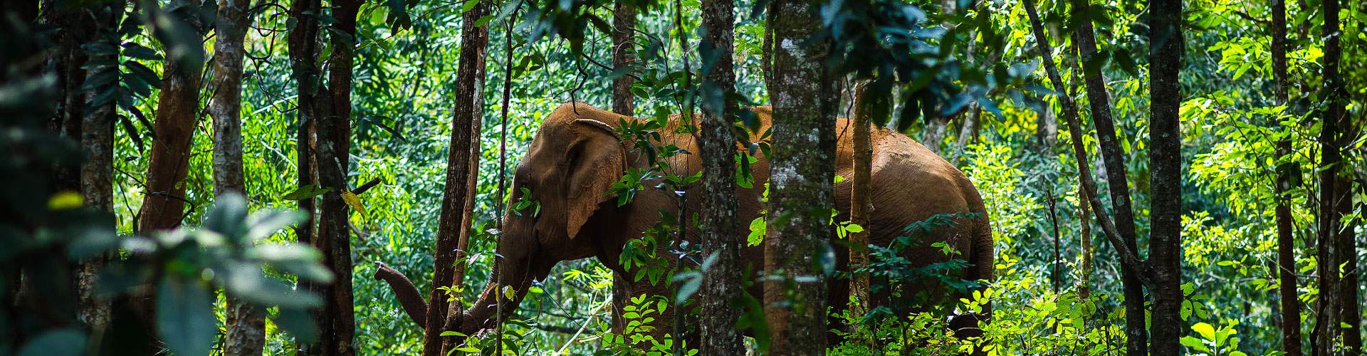 mondulkiri attraction