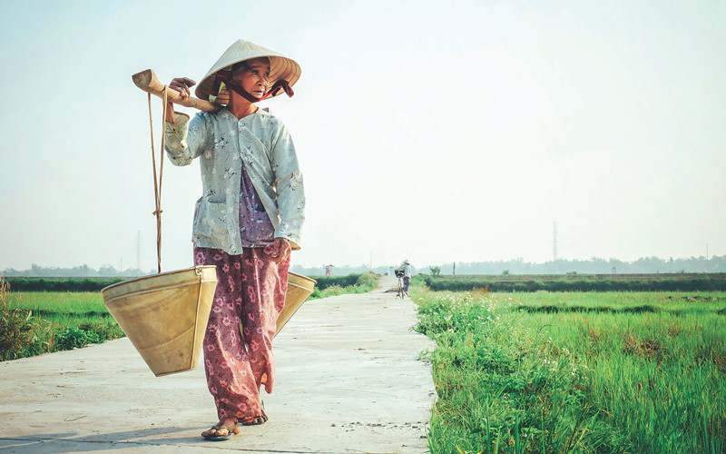 vietnam countryside
